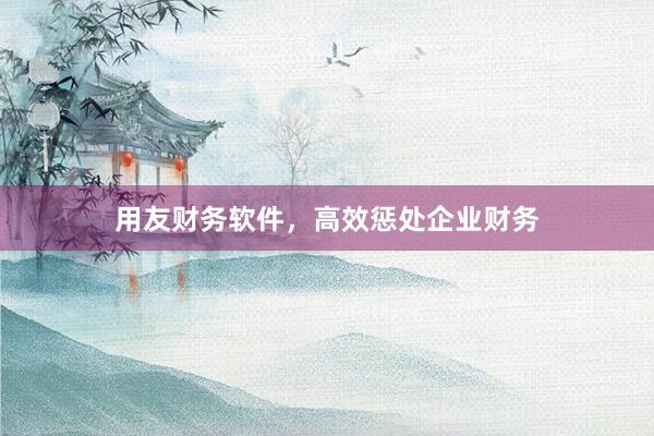 用友财务软件，高效惩处企业财务